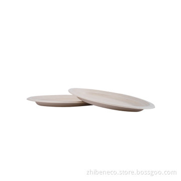 Bagasse Sugarcane Disposable Biodegradable Compostable Party Paper Pulp Plates